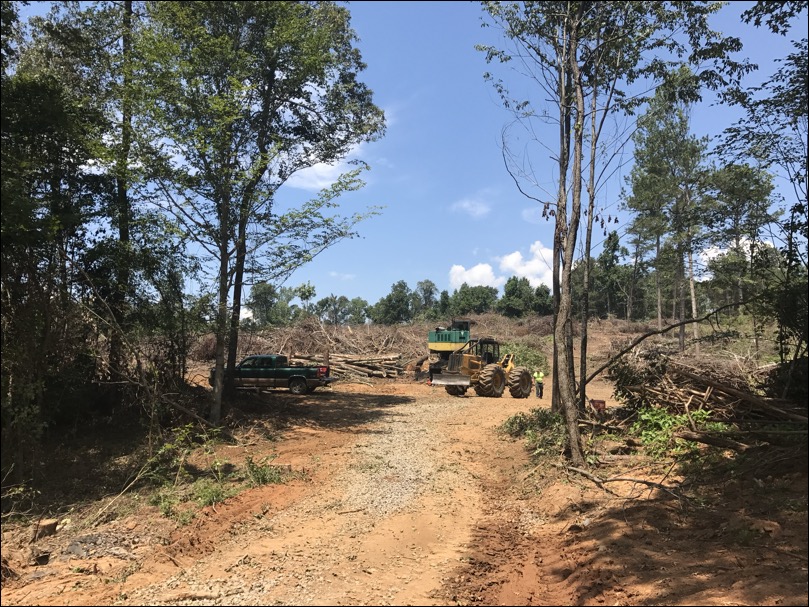 Land clearing underway at Meager